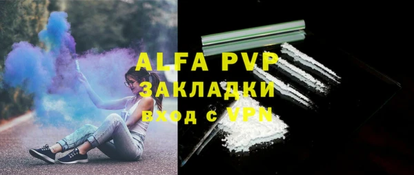 стафф Михайловск