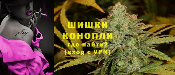 индика Наволоки