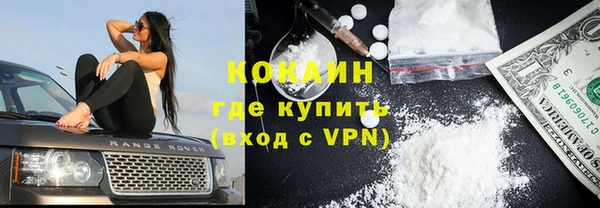 индика Наволоки