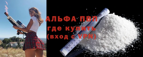 стафф Михайловск
