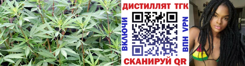 Дистиллят ТГК Wax  наркота  ОМГ ОМГ онион  Великий Новгород 