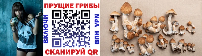 hydra ONION  Великий Новгород  Псилоцибиновые грибы GOLDEN TEACHER 